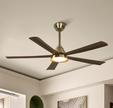 Ceiling Fan
